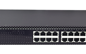 S3900-24P6X