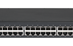 S3900-48P6X